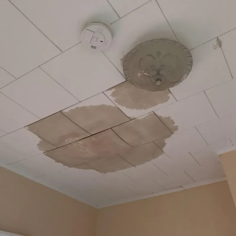 Ceiling Water Damage Repair in Greensburg, OH