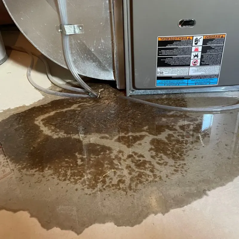 Pipe Burst and Leak Restoration in Greensburg, OH