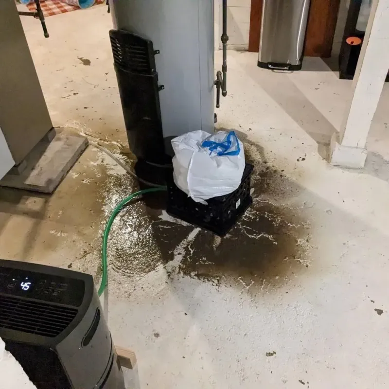 Sewage Backup Cleanup Service in Greensburg, OH